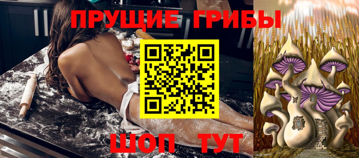 Галлюциногенные грибы Psilocybine cubensis  Галлюциногенные грибы мухоморы  Вход с VPN  Калининград 
